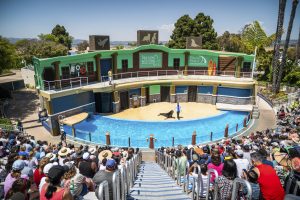 An Easy Overnight Festival Trip Awaits…in San Diego 