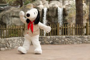 What’s New at Knott’s Berry Farm?